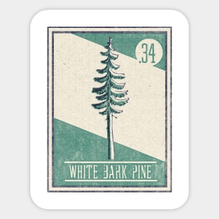 No. 34 White Bark Pine Sticker